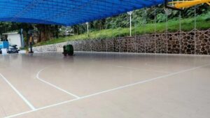 Maple Basketball Court Flooring: Features, Applications, and Global Demand